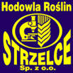 Strzelce