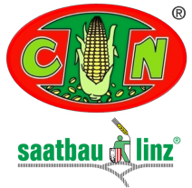 CN